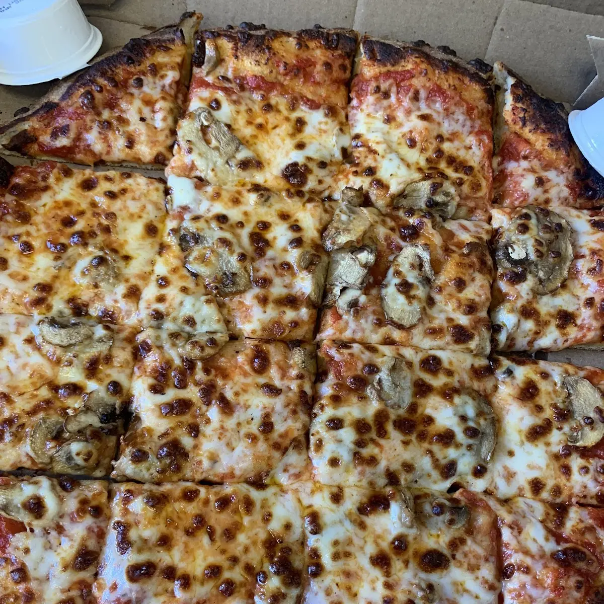 Vegetarian Pizza