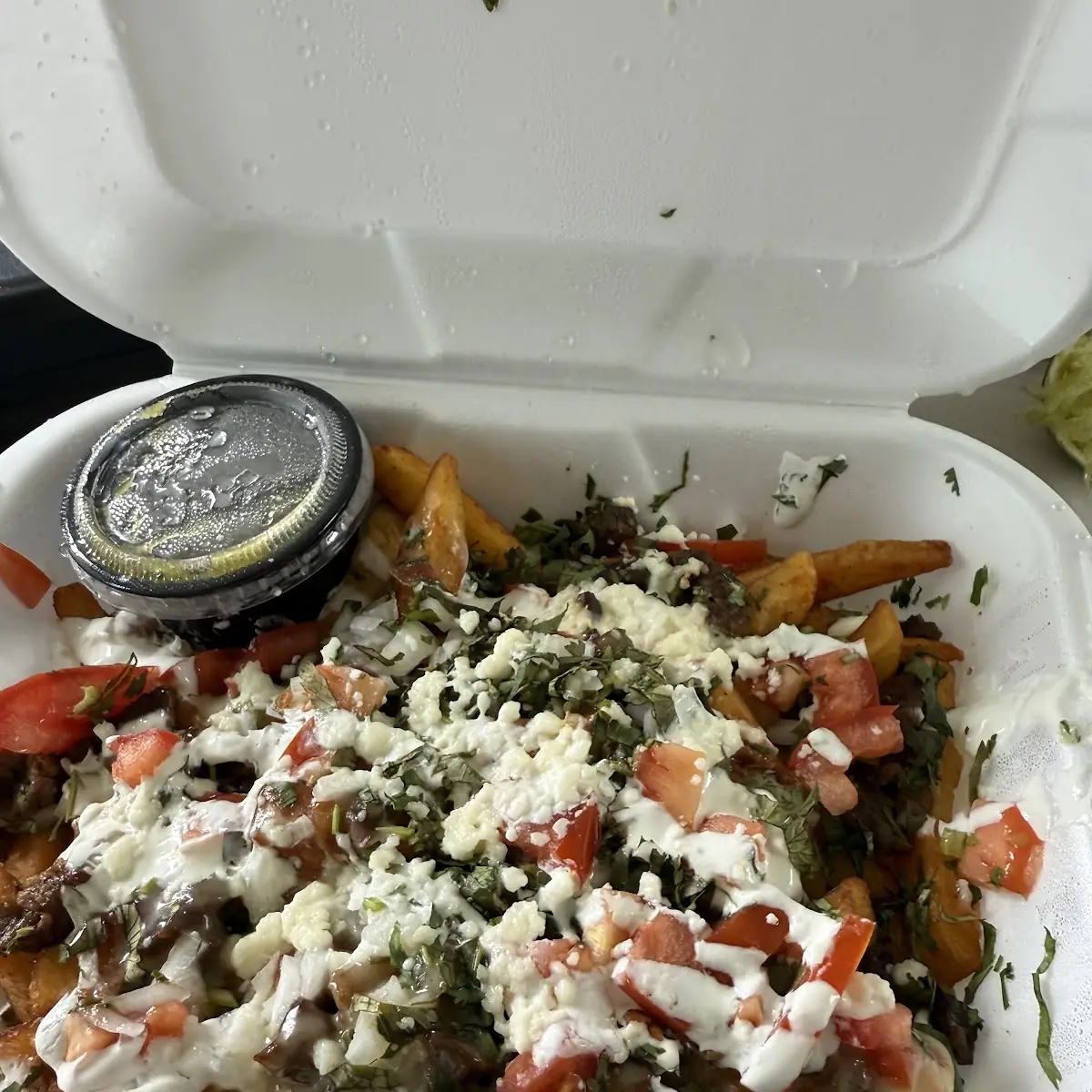 Carne Asada Fries
