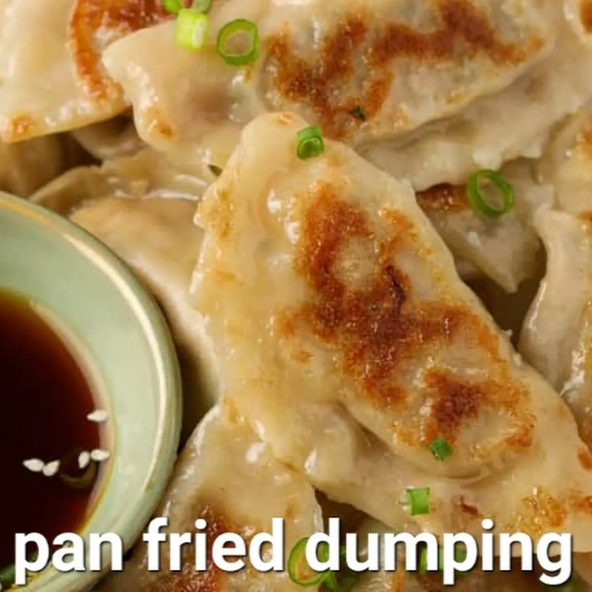 Pan Fried Pork Dumplings