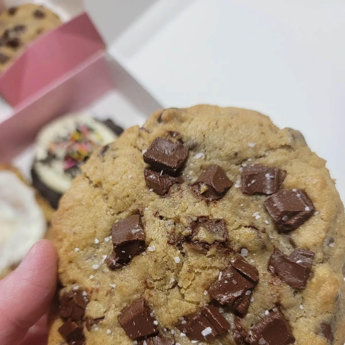 Chocolate Chip Cookie