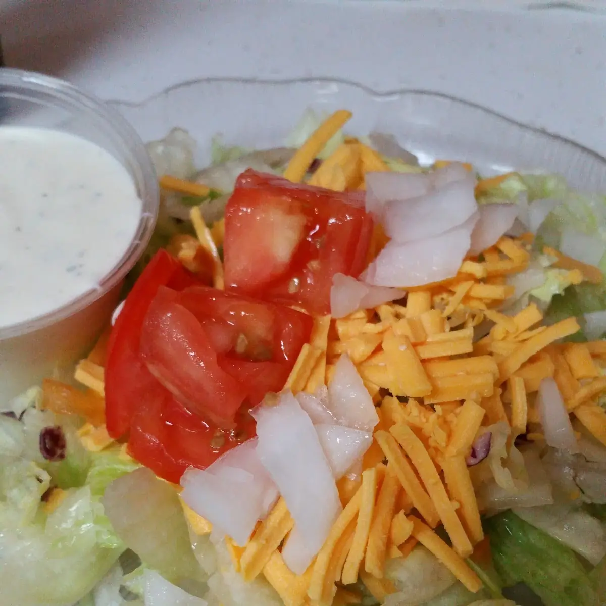 Grilled Chicken Salad