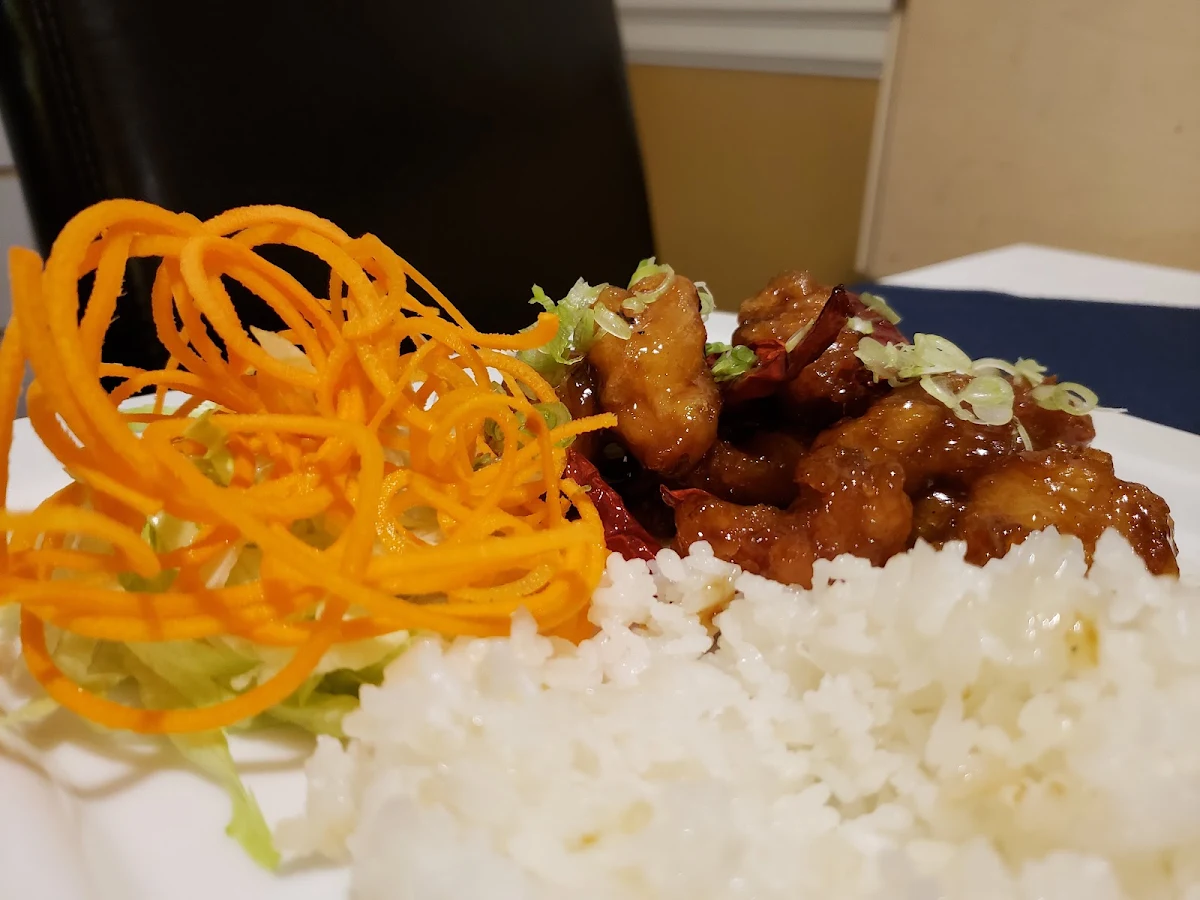 N1. Nouilles teriyaki au poulet / Chicken Teriyaki Noodles