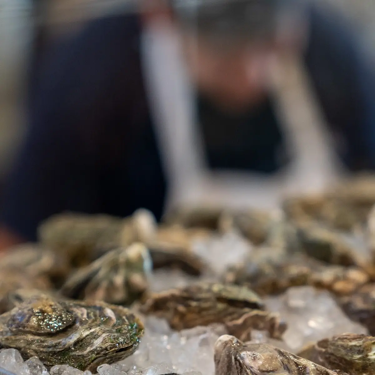 Full Dozen Oysters