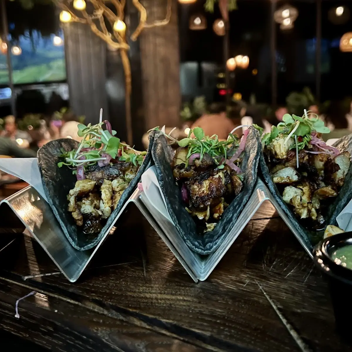 Pork Belly Tacos