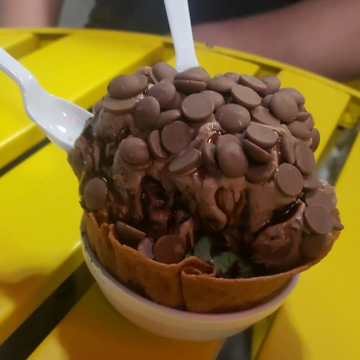 Mint Choclate Chipwith Extra Chocolate Chip