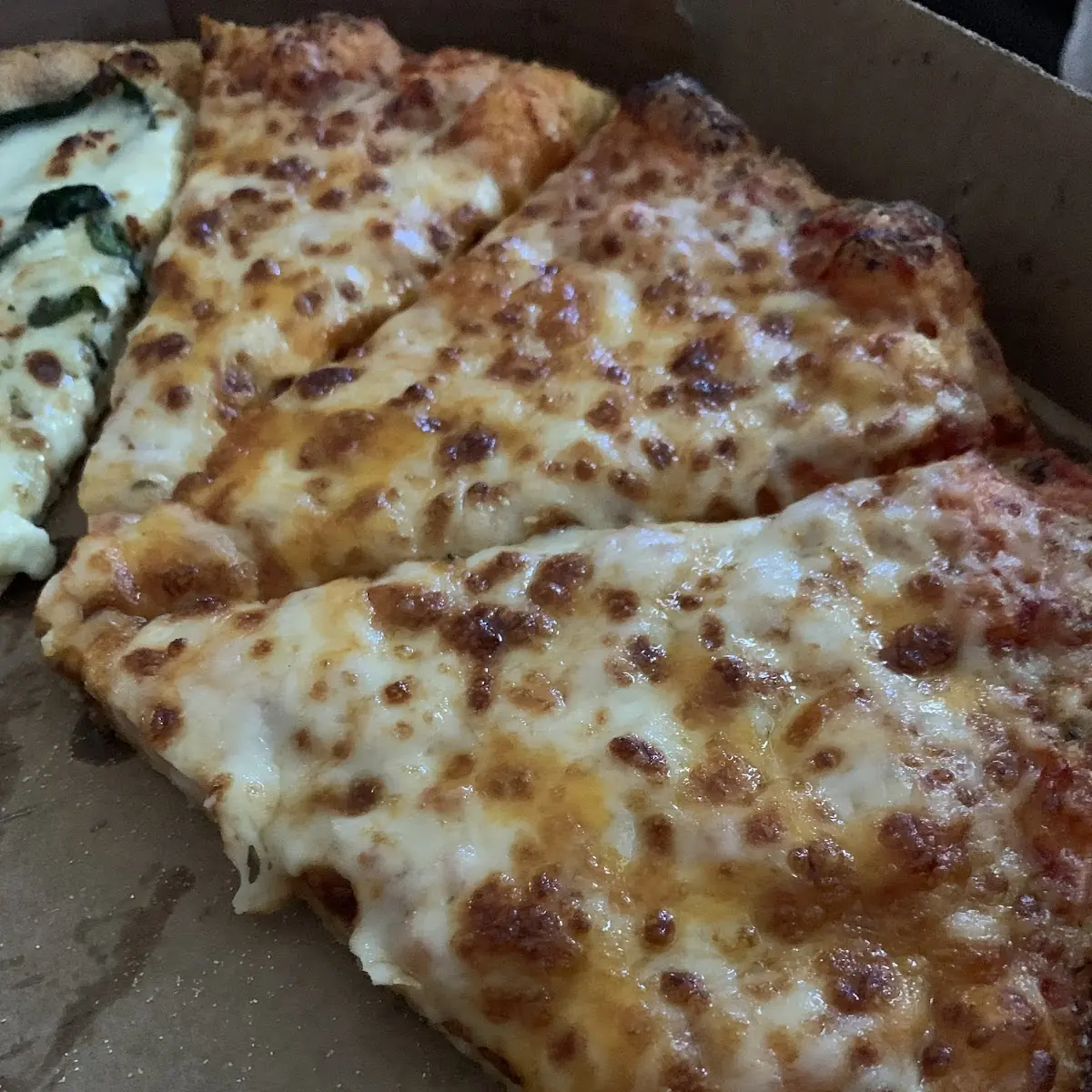 Cheese Pizza