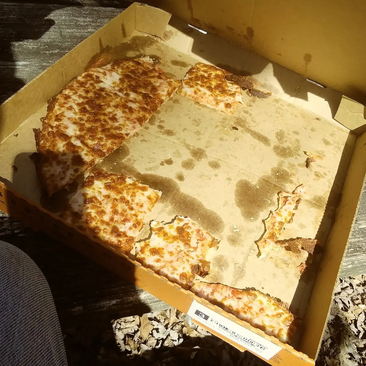 Cheese Pizza