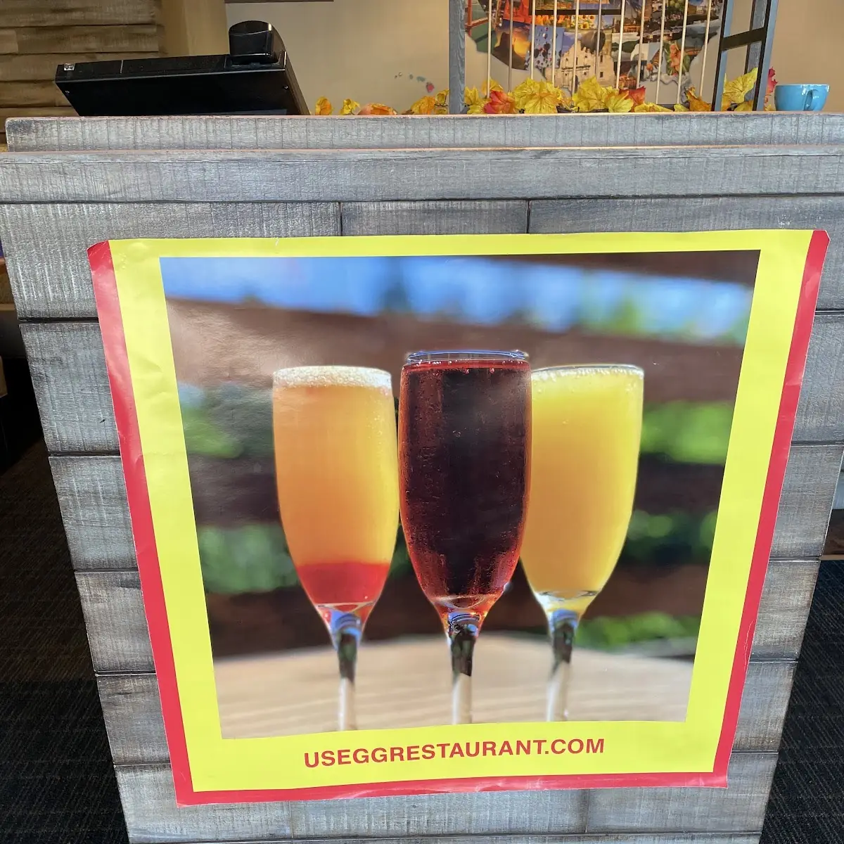 Mimosa Flight