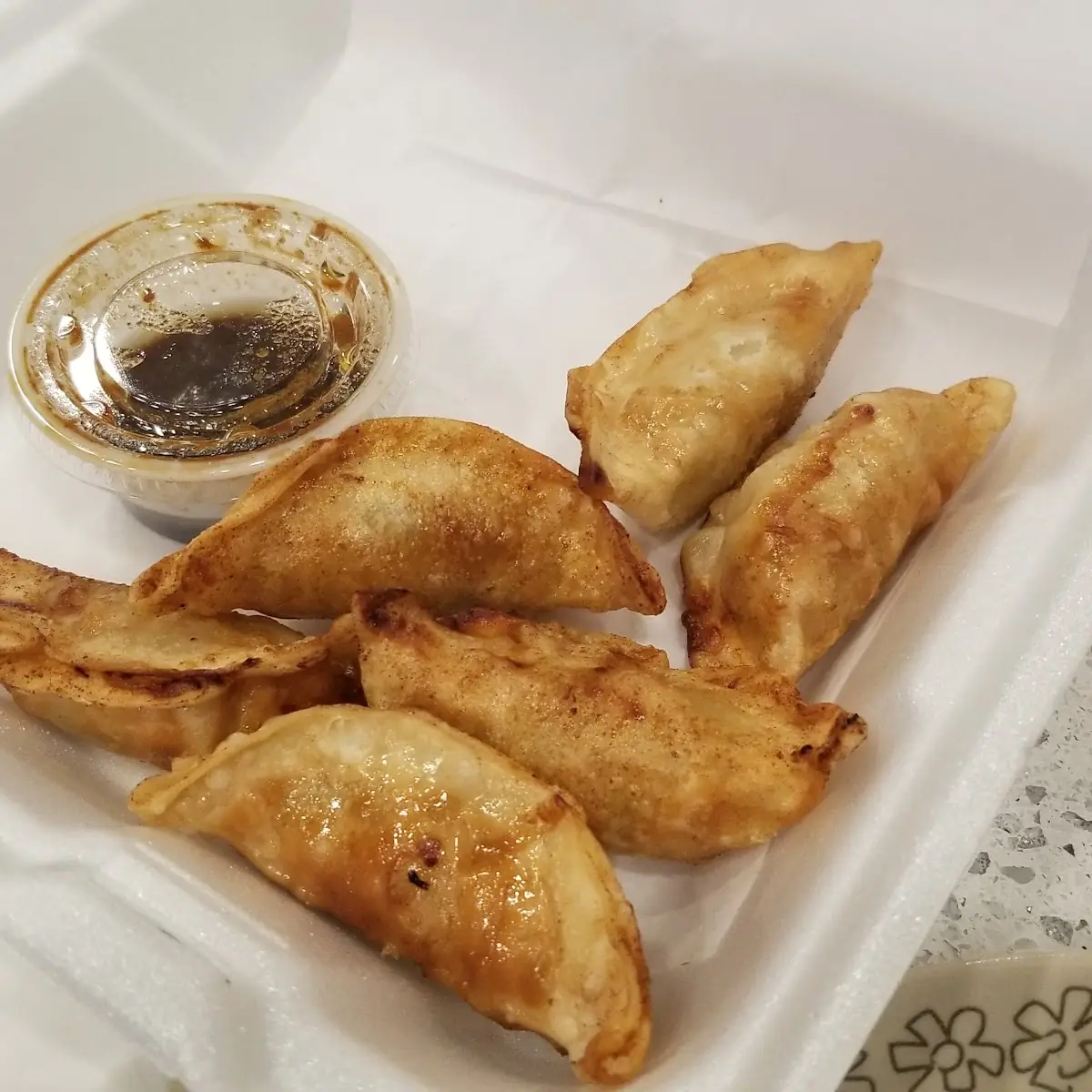Fried Chicken Dumplings