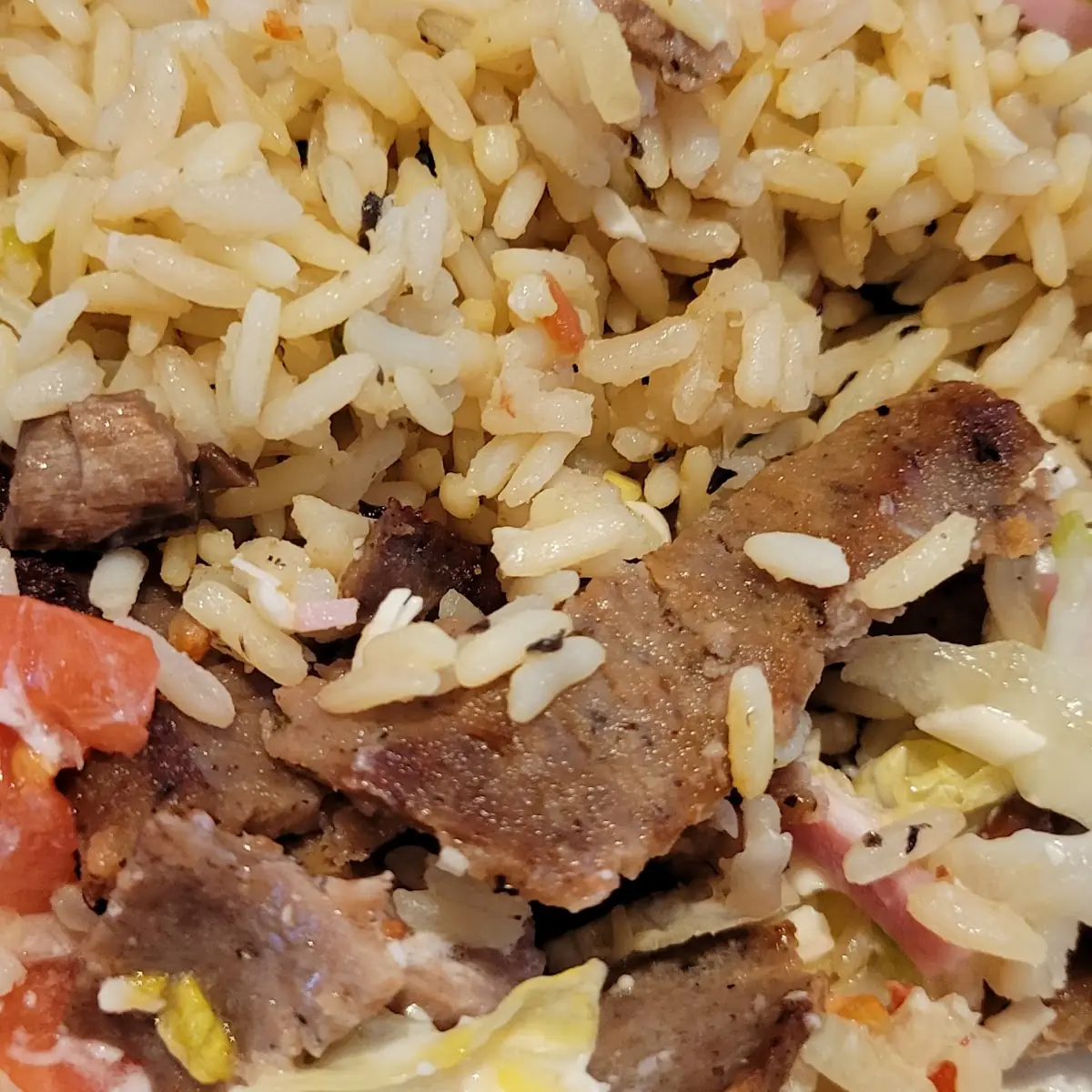 Gyro Plate