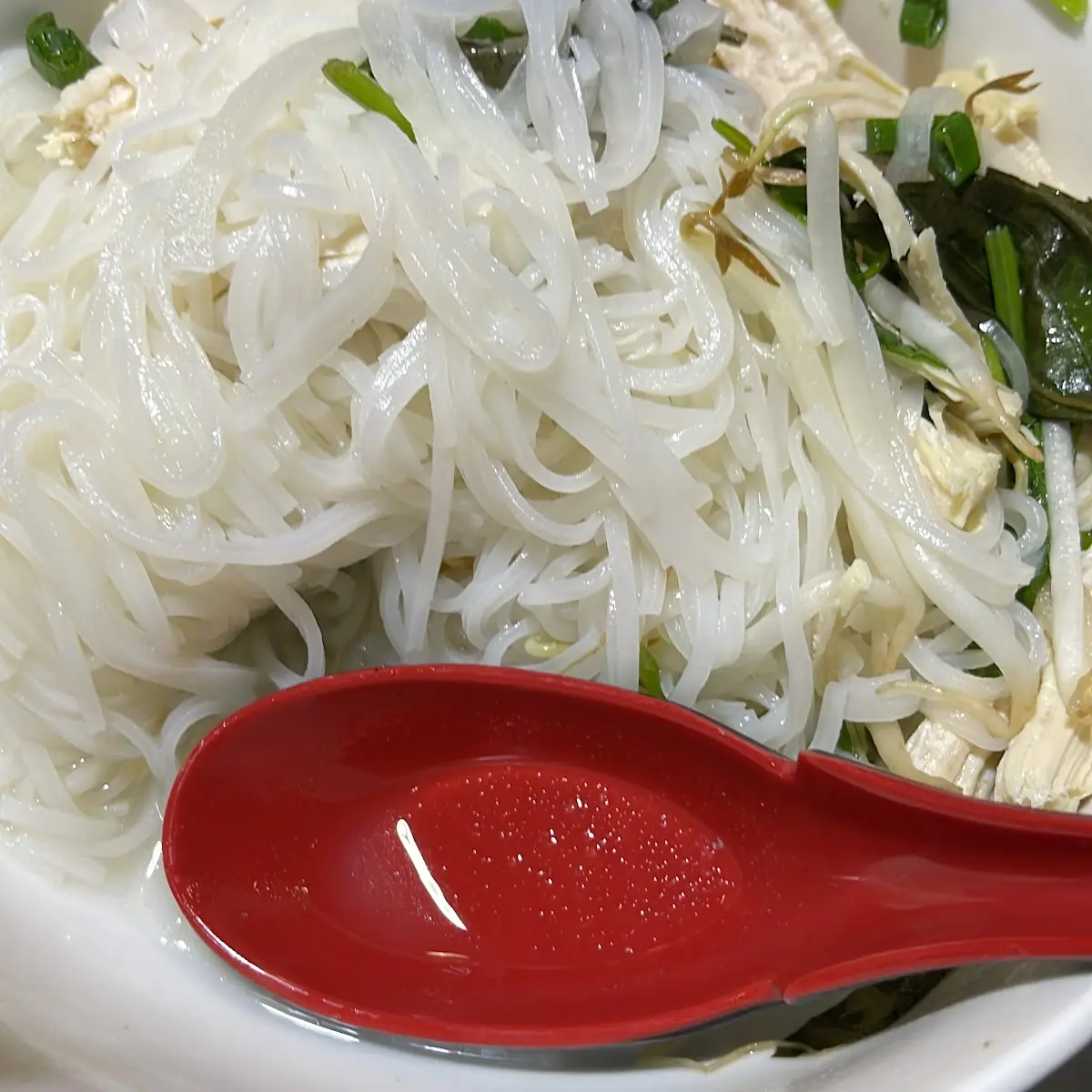 Vermicelli Rice Noodles & Fried Tofu