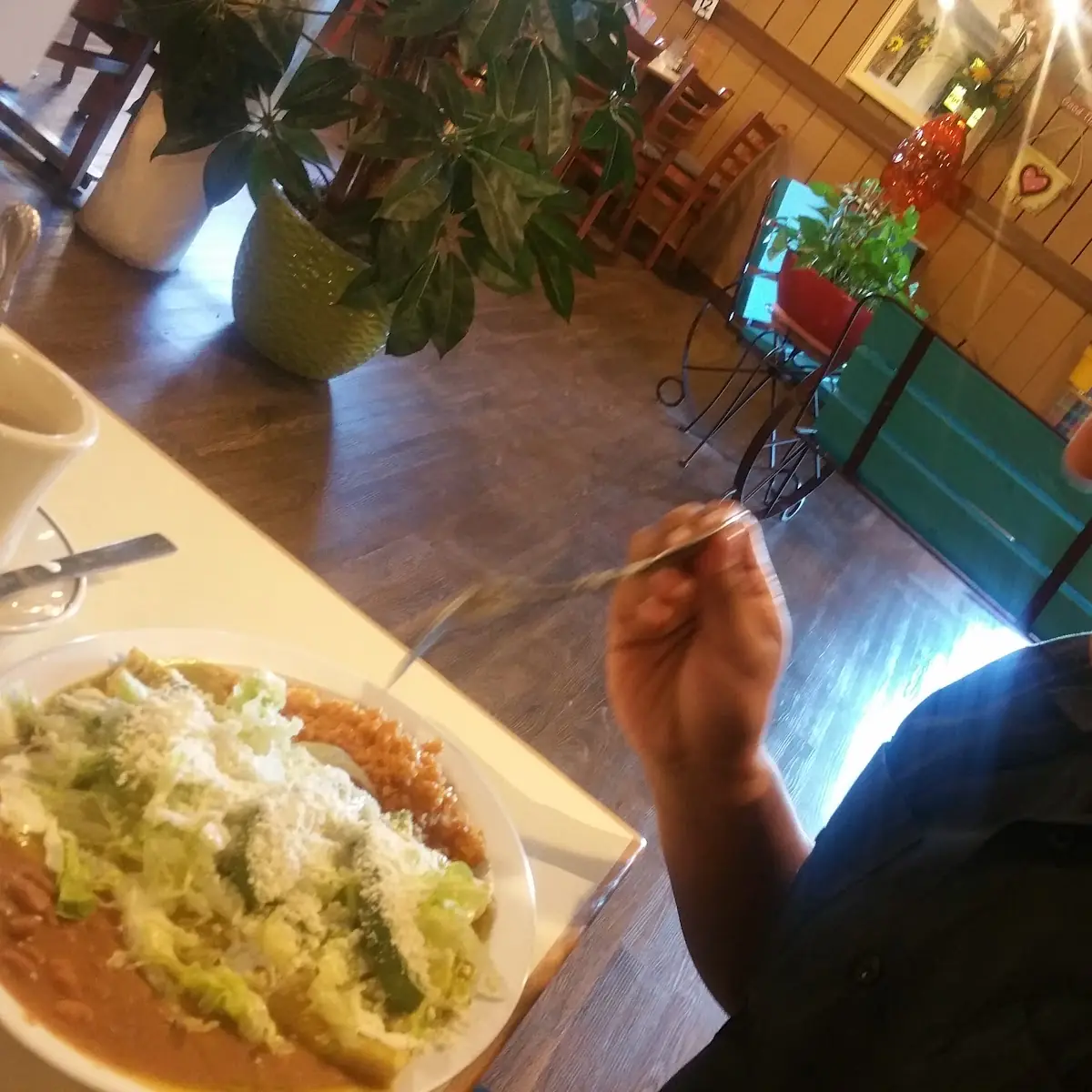 Green Enchiladas Suizas