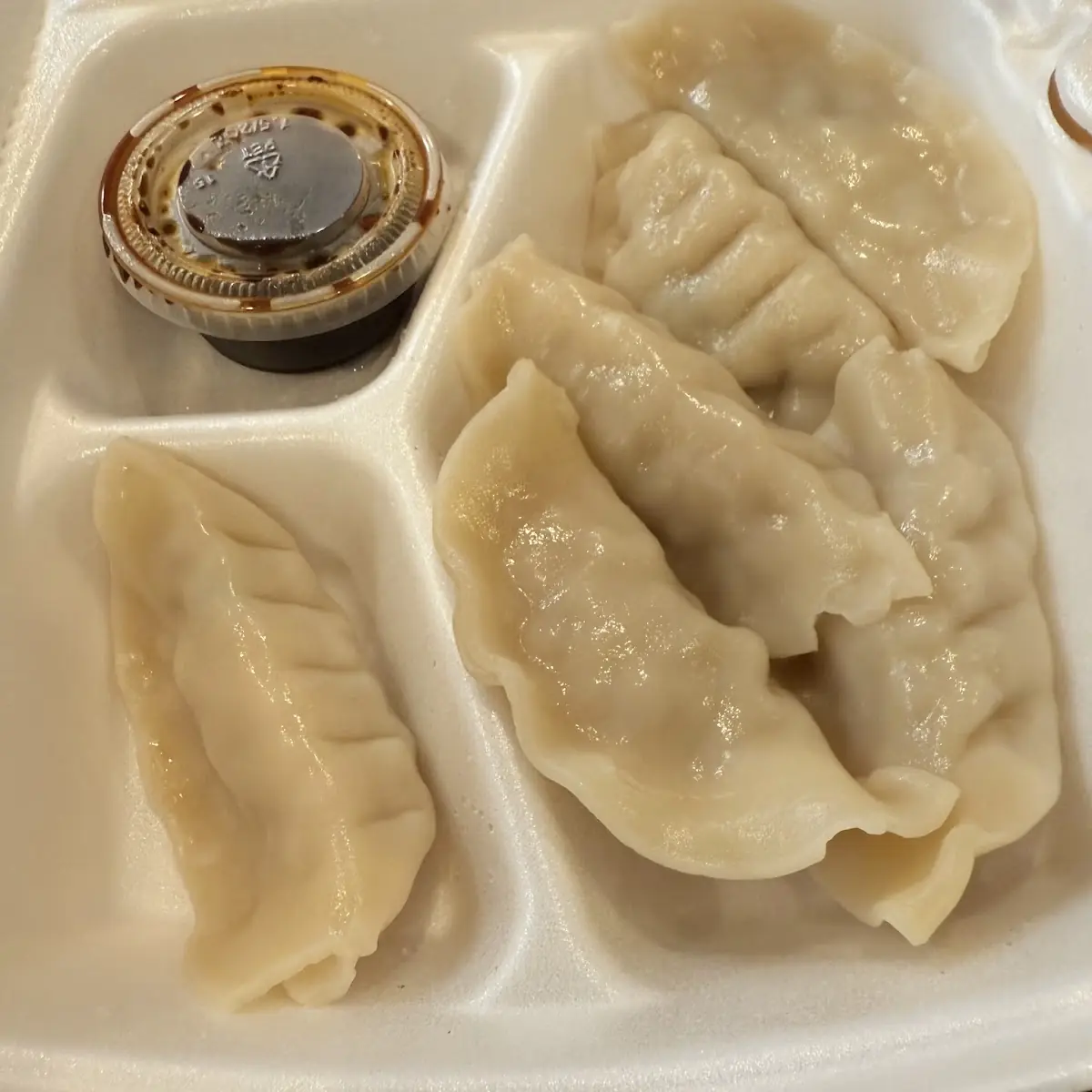 Pork Dumplings