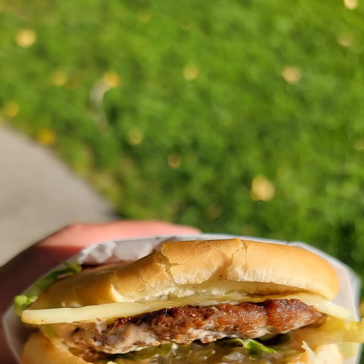 Mushroom Swiss Burger