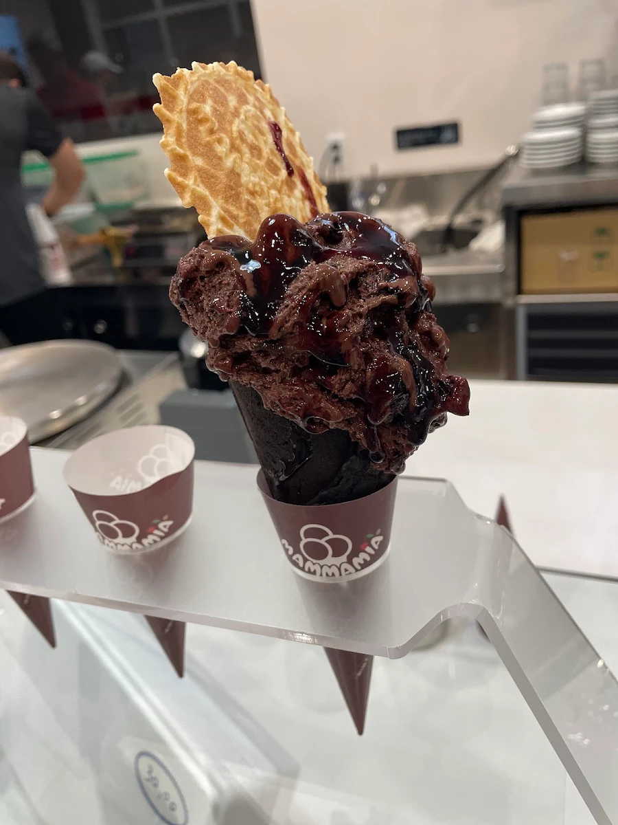 Dark Chocolate Gelato