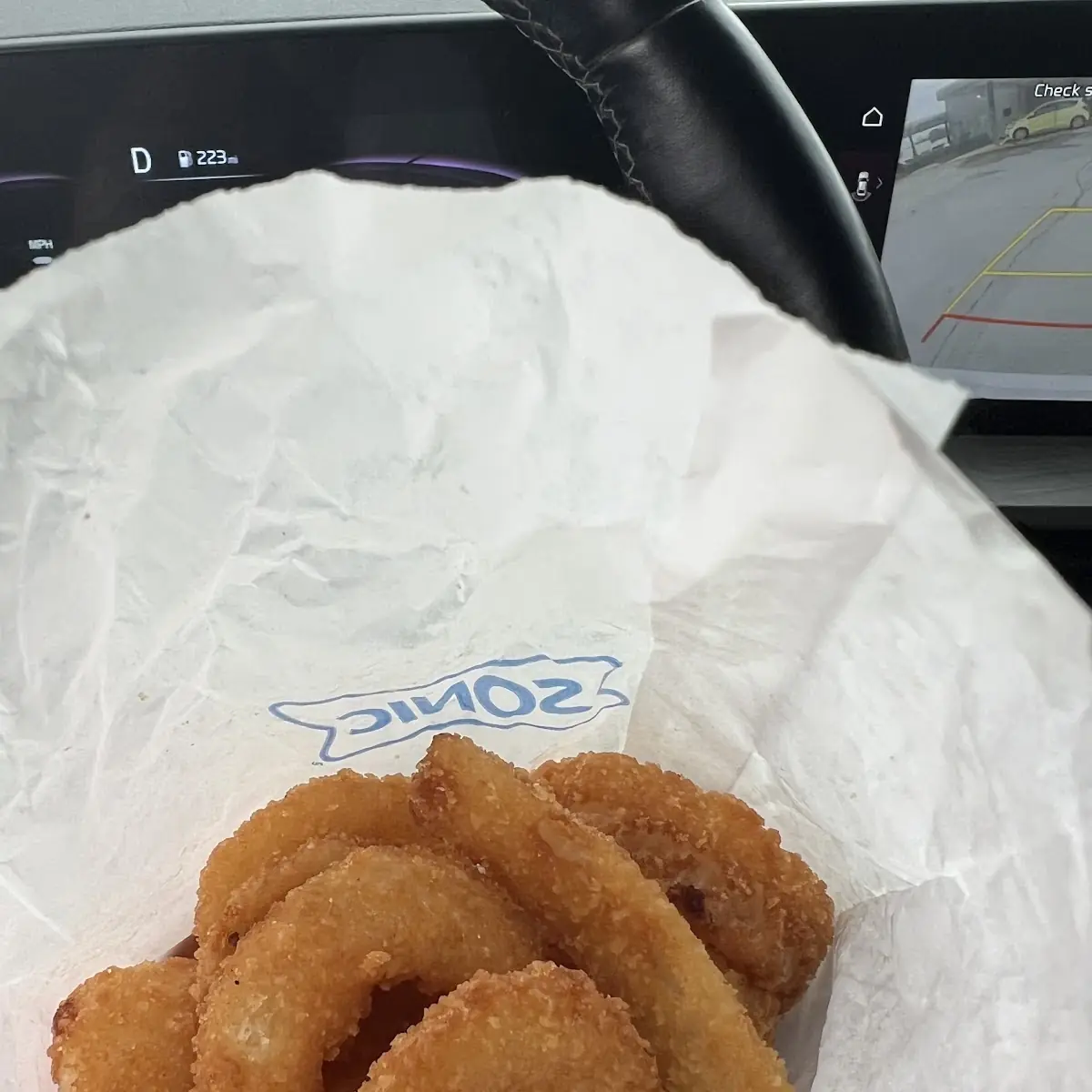 Hand Made Onion Rings