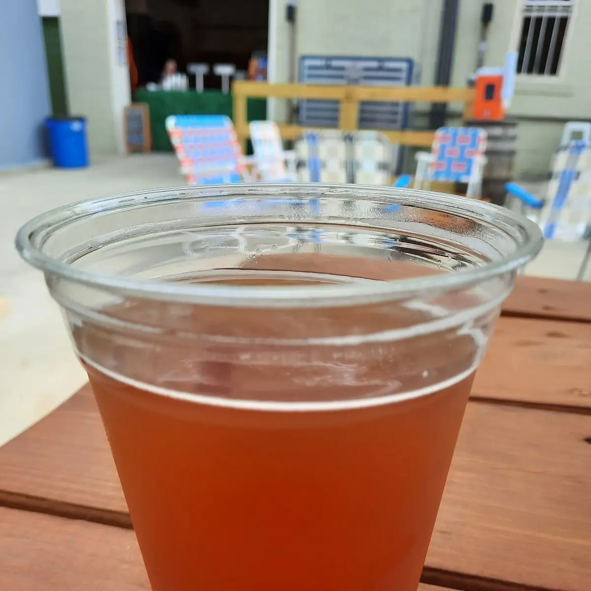 Sour Pale Ale