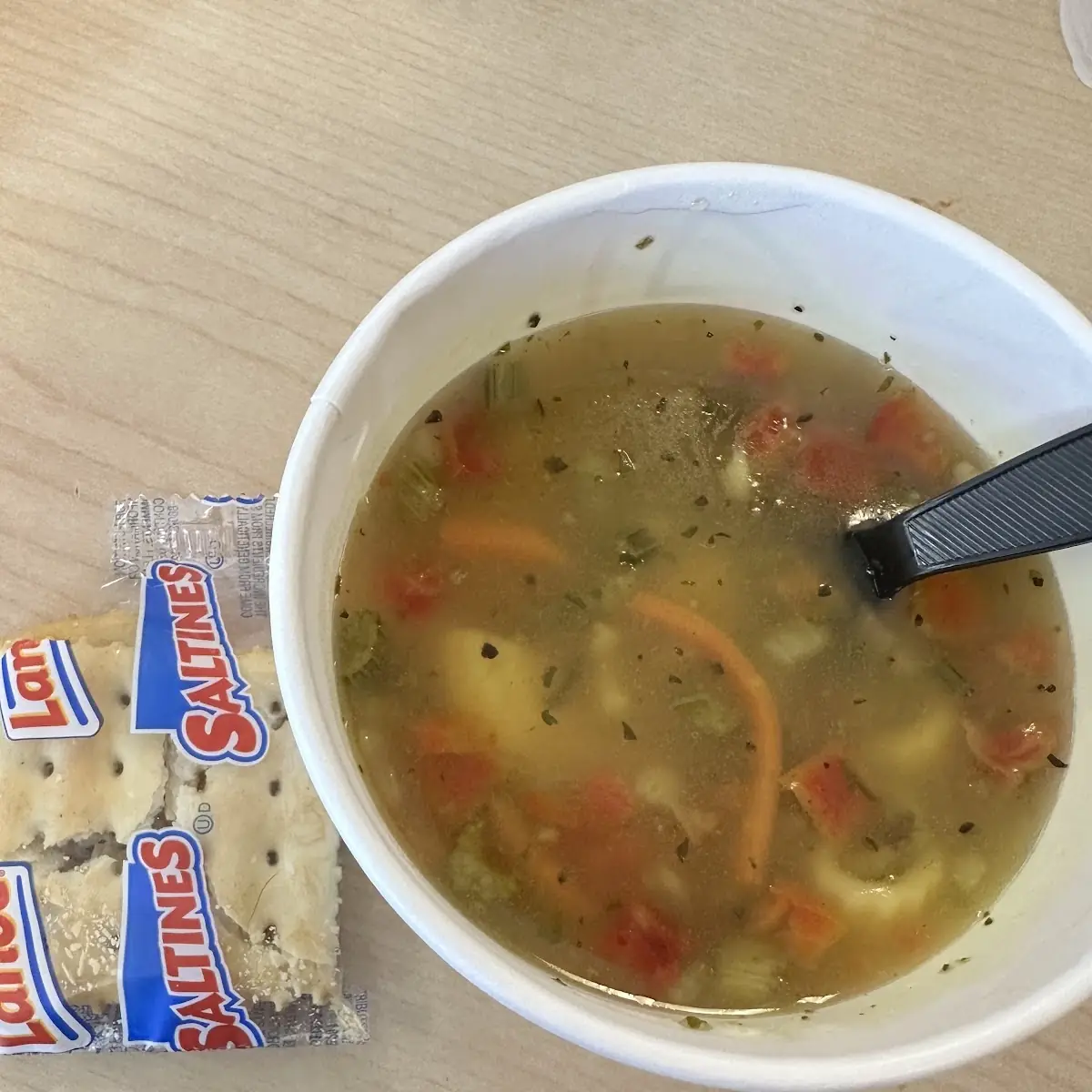 Chicken Noodle Soup
