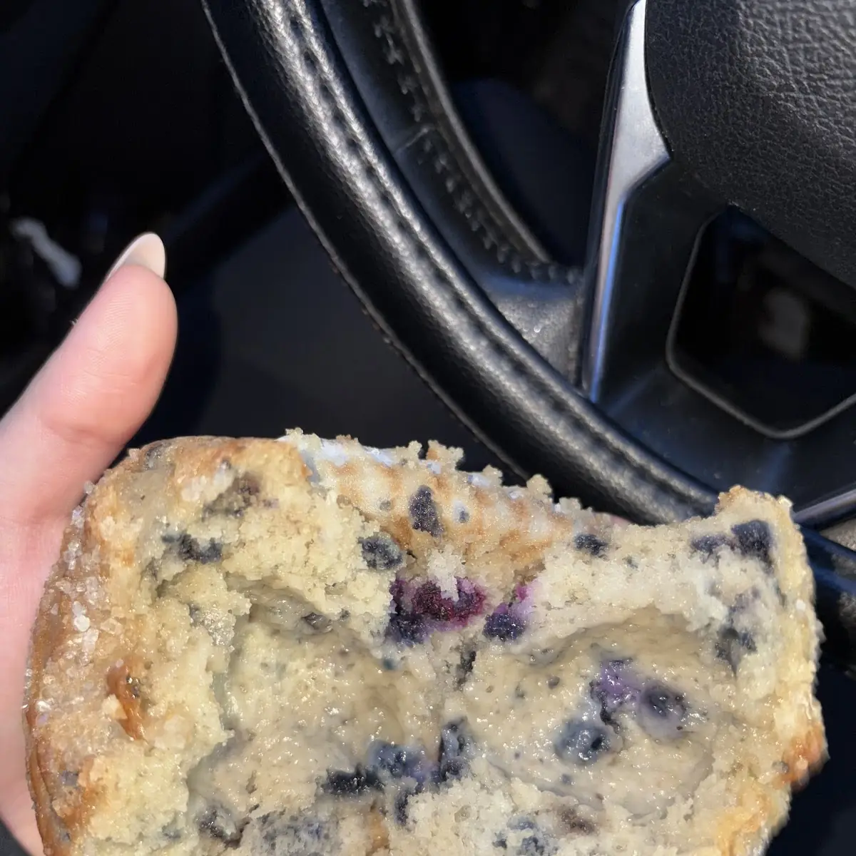 Blueberry Muffin