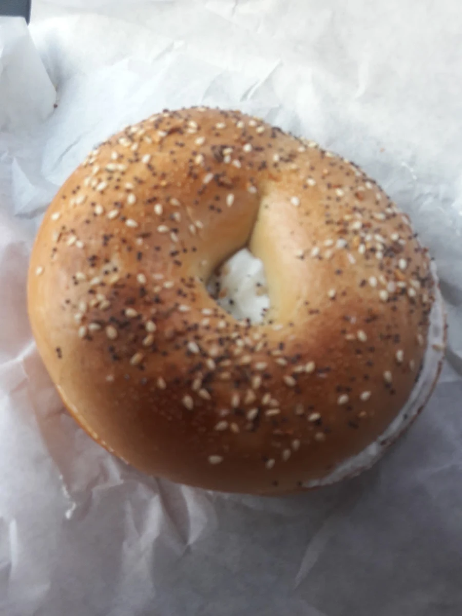 Everything Bagel with Cream Cheese