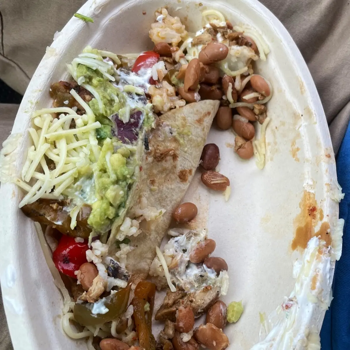 Cheese Quesadilla
