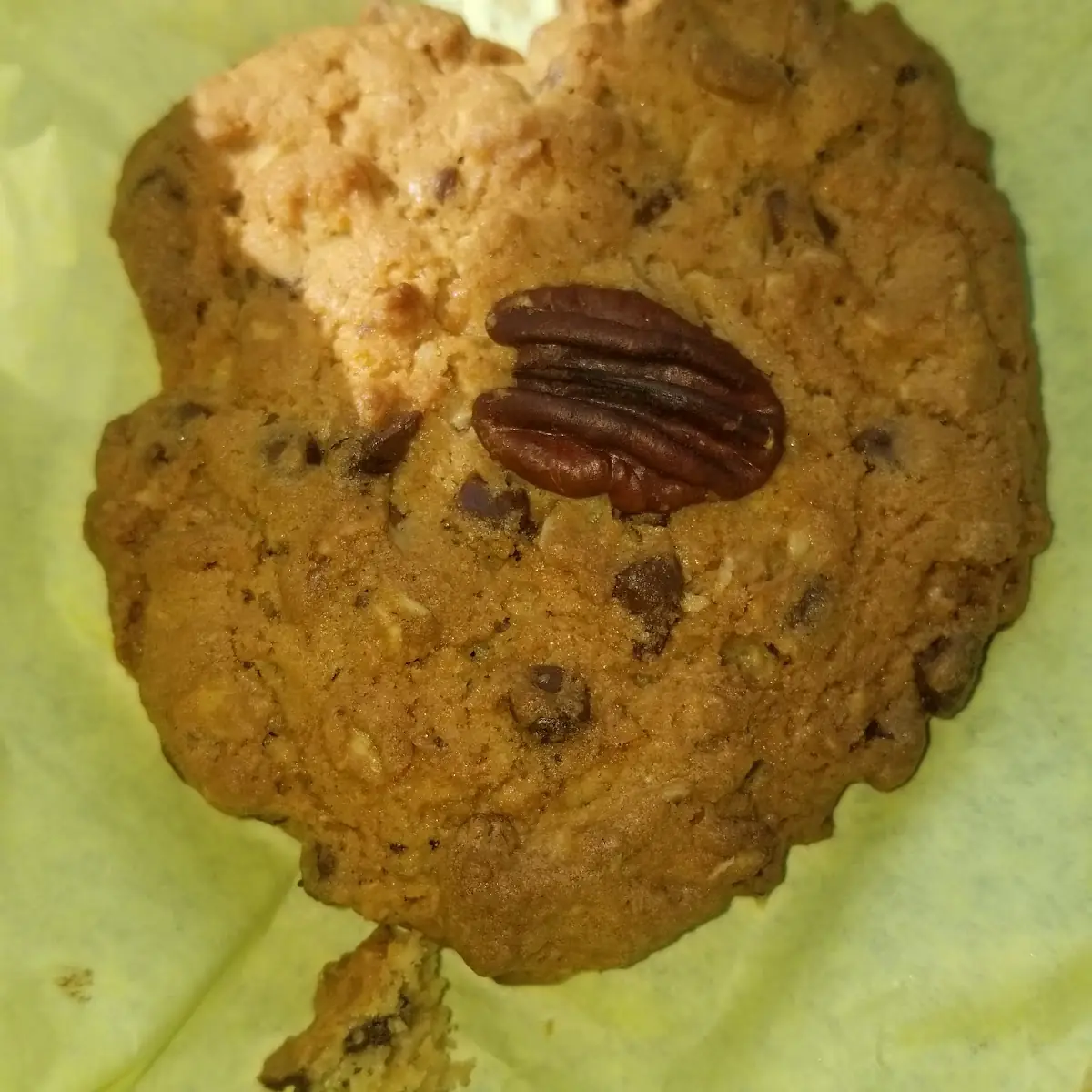 Chocolate Chip and Pecan Cookie