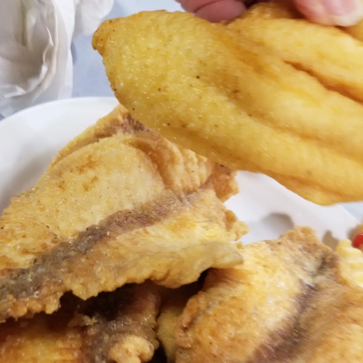 Catfish Fillet