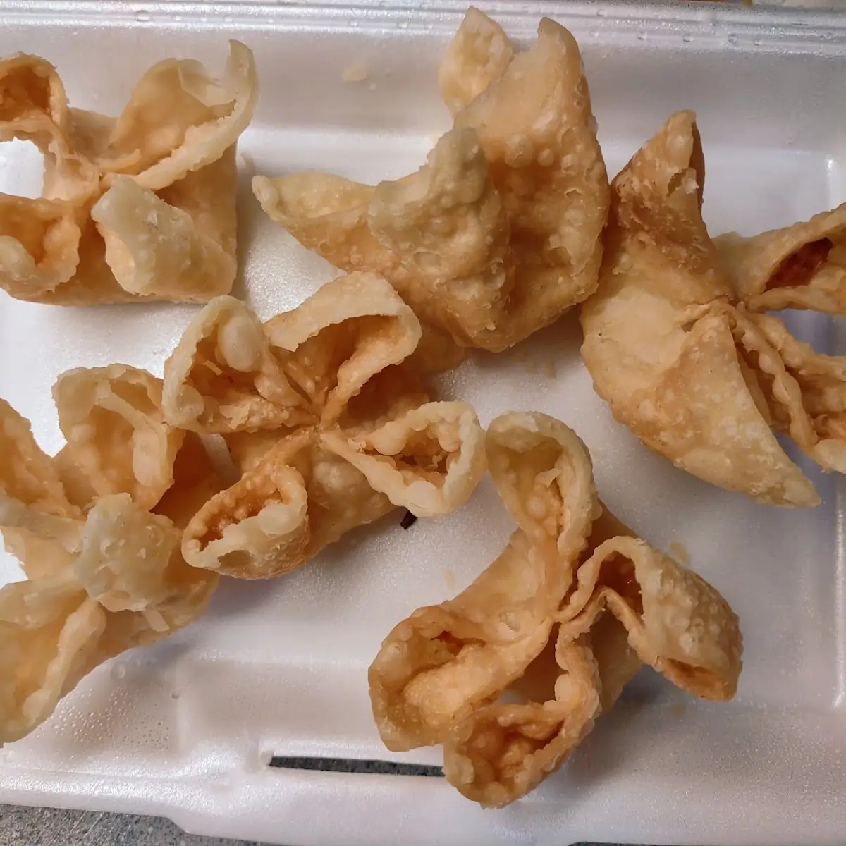 Fried Wonton 10