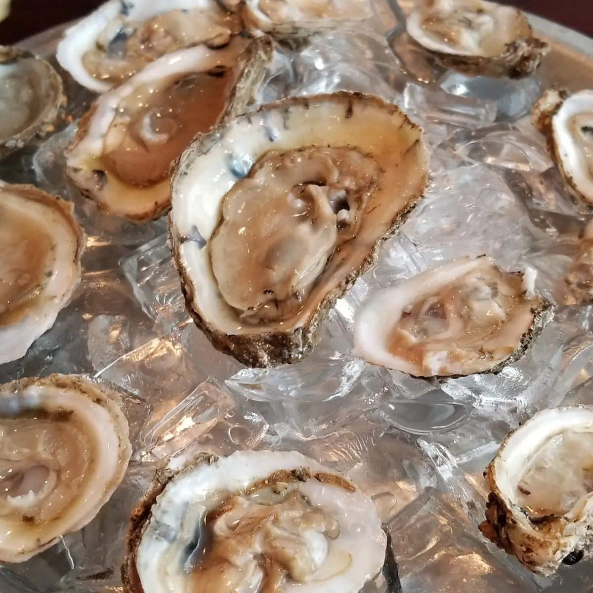 Raw Oysters
