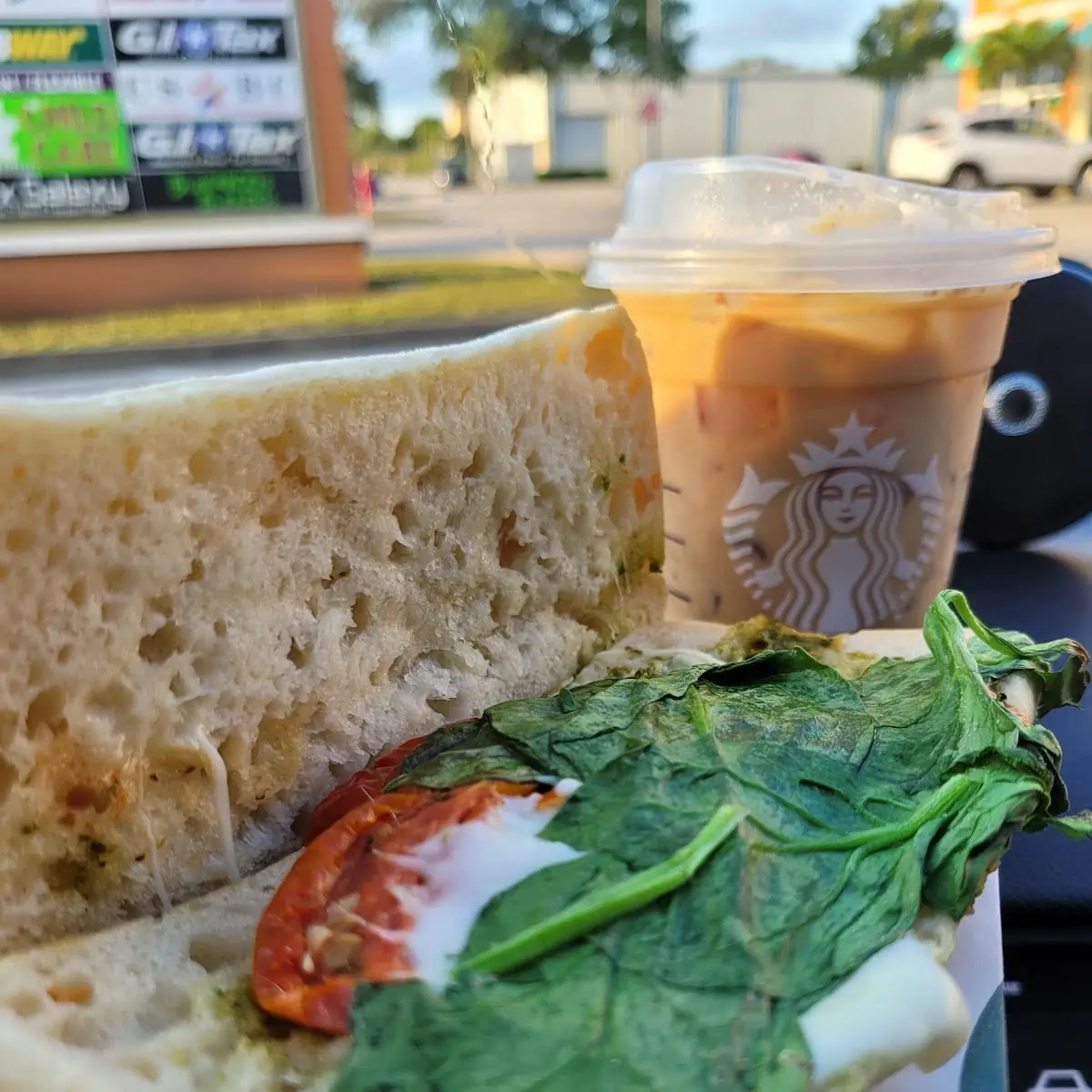Tomato & Mozzarella Panini