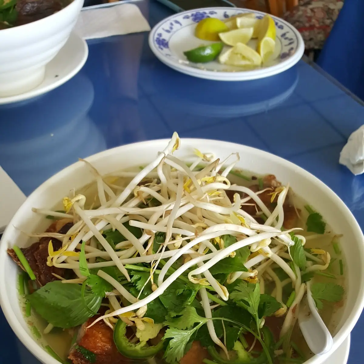 Duck Noodle Soup