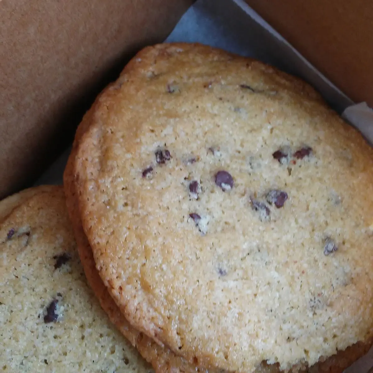 Chocolate Chip Cookie