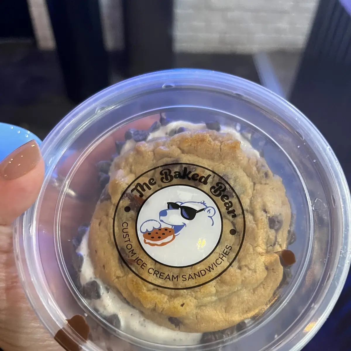Chocolate Chip Cookie