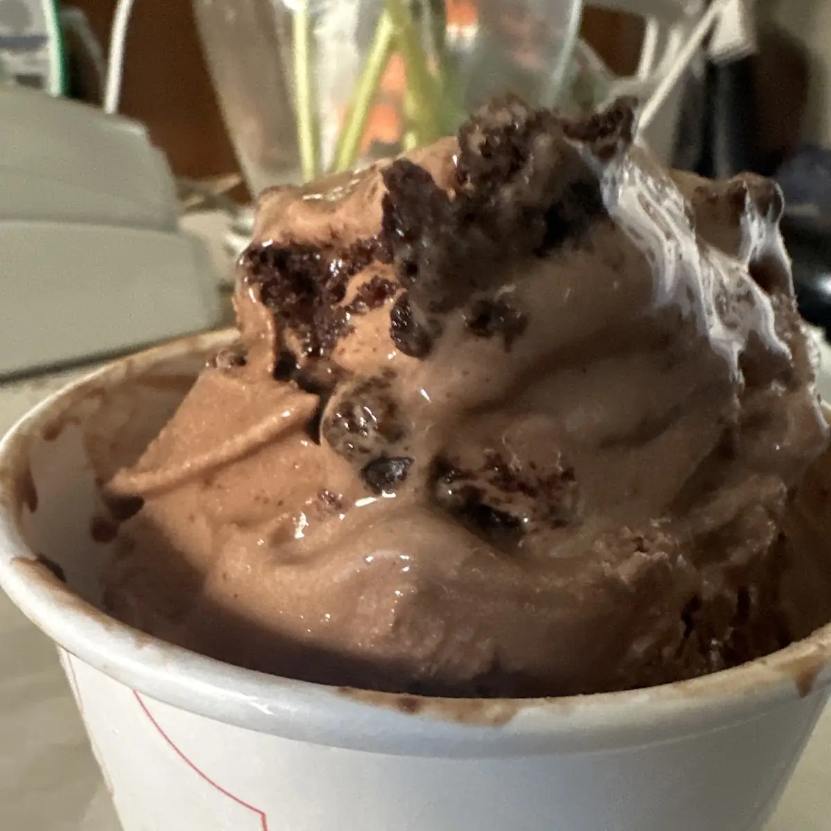Vegan Chocolate Cookie