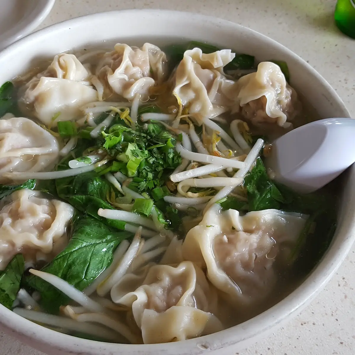 Shanghai Wonton Noodle Soup