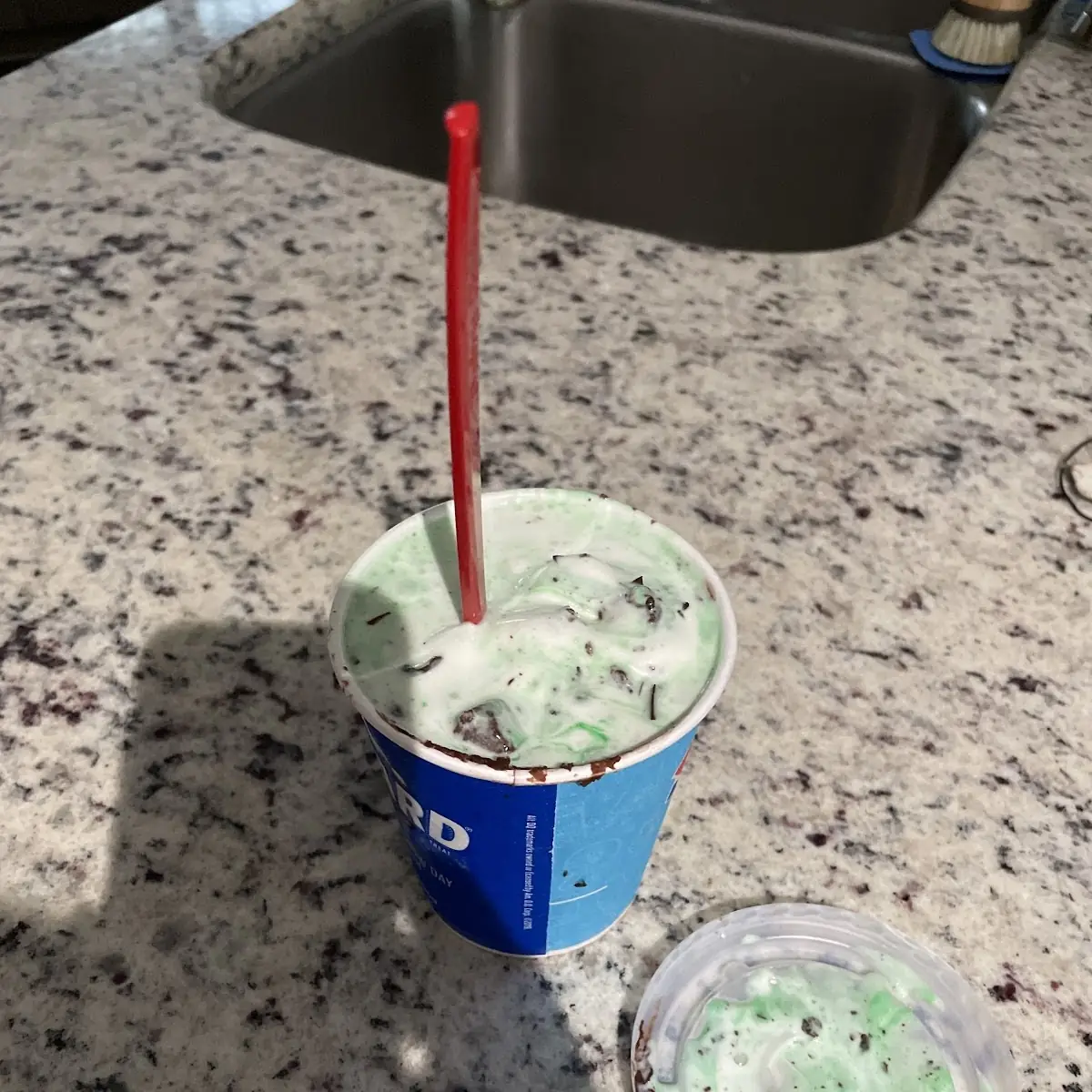 Mint Oreo Blizzard Treat
