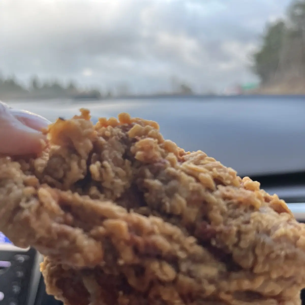 Combination Fried Chicken