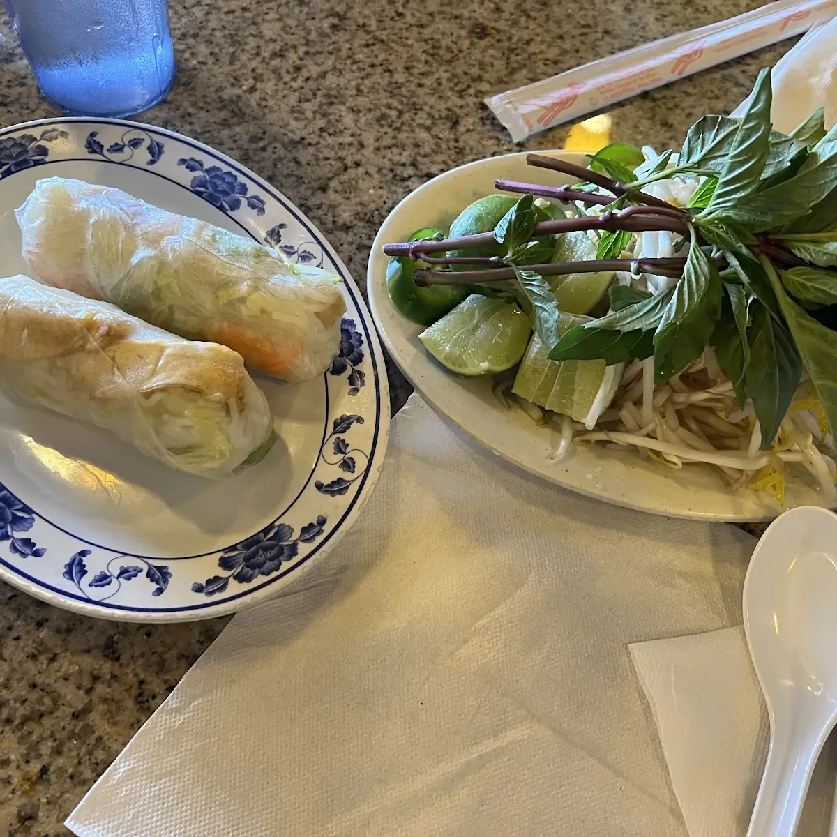 Spring Rolls with Grilled Pork or Beef