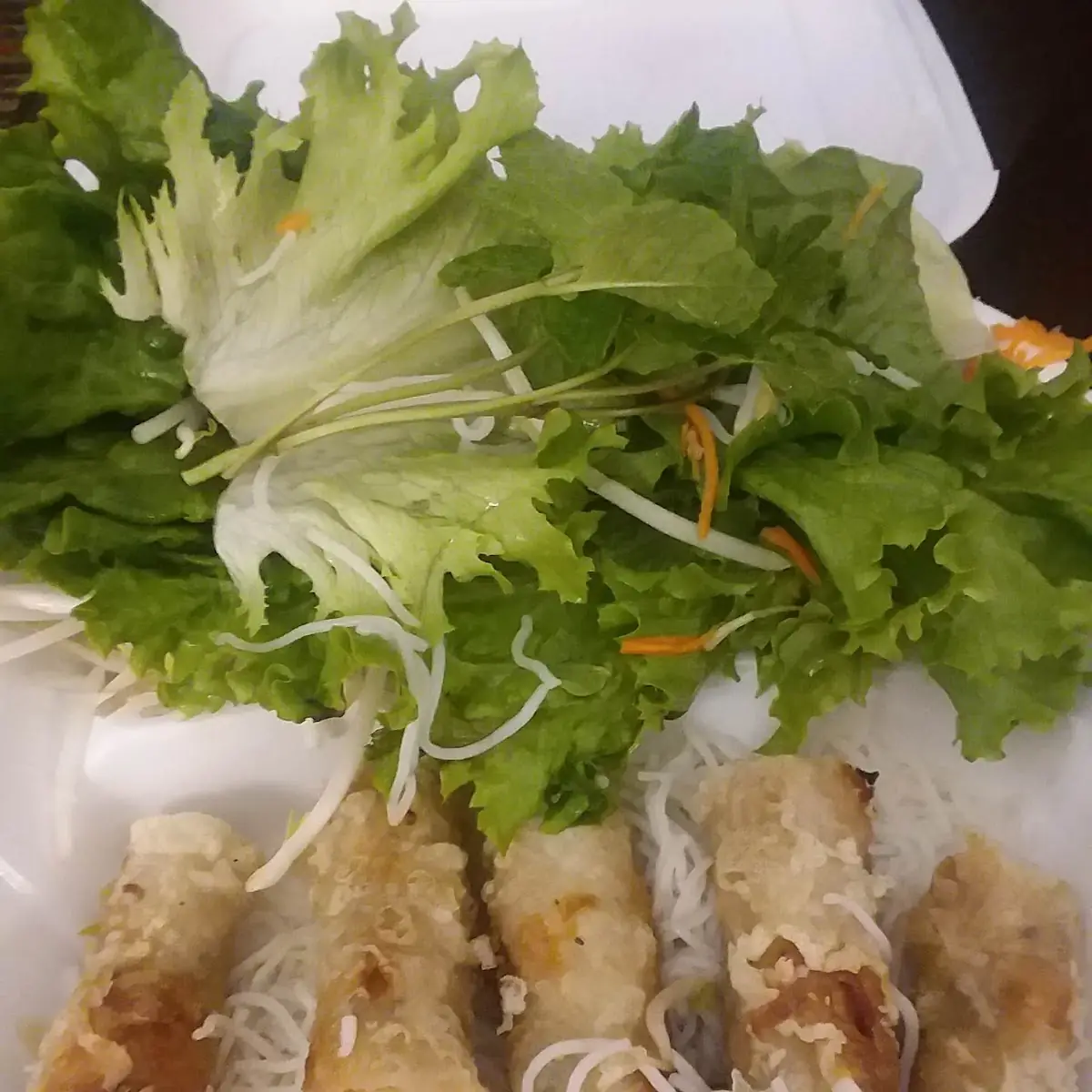Vietnamese Egg Rolls