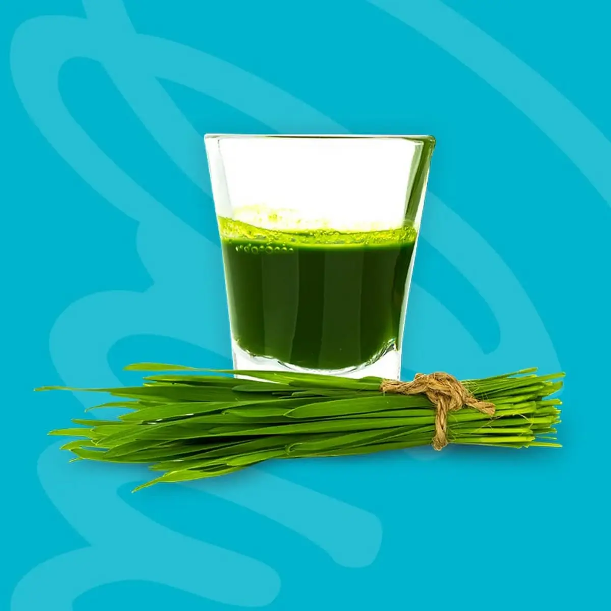 Wheatgrass Shot