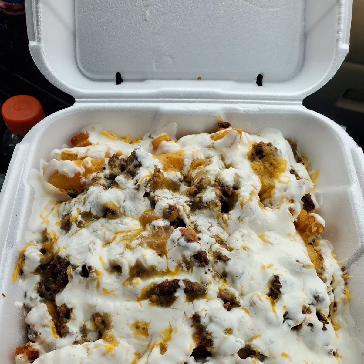 Asada Fries