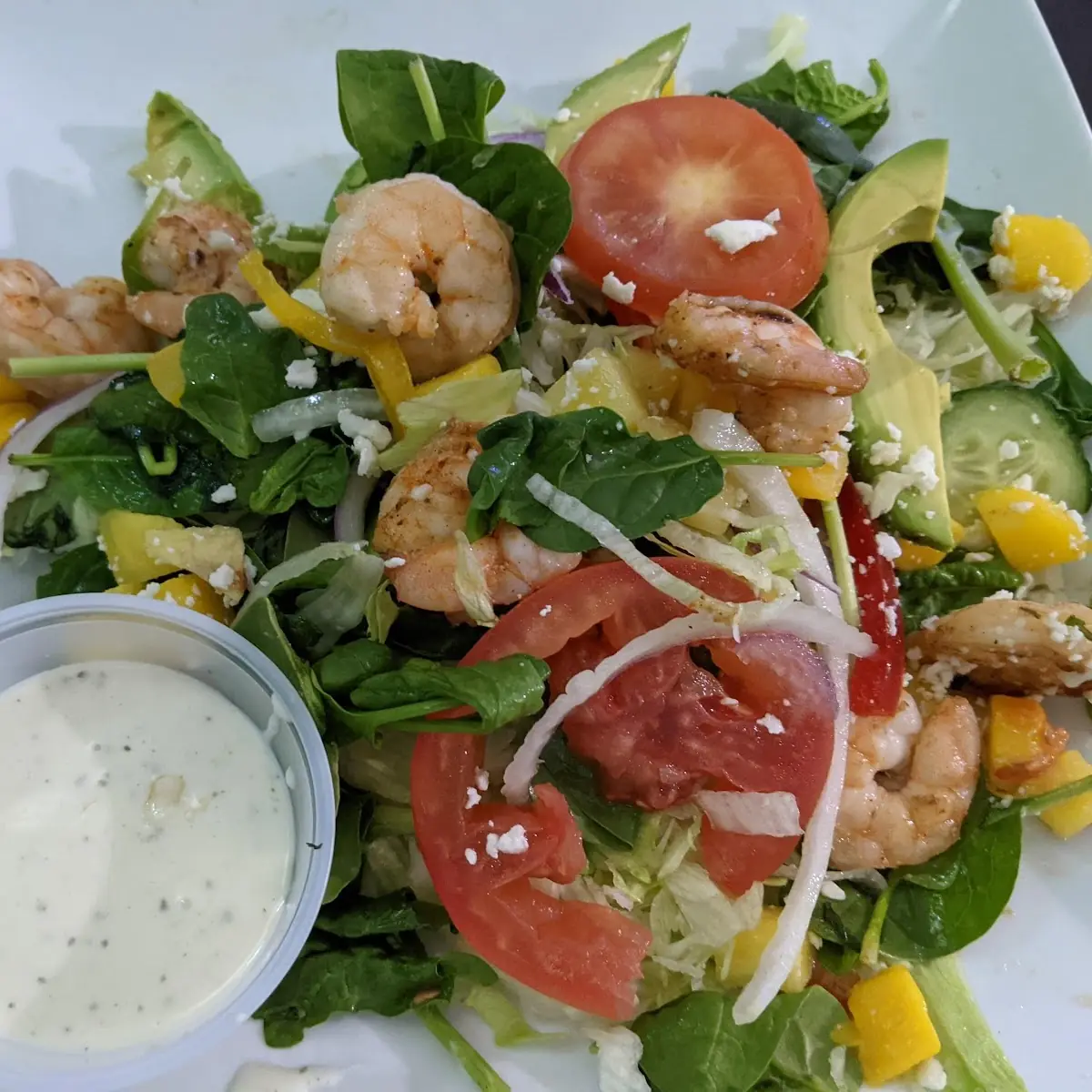 Shrimp Salad