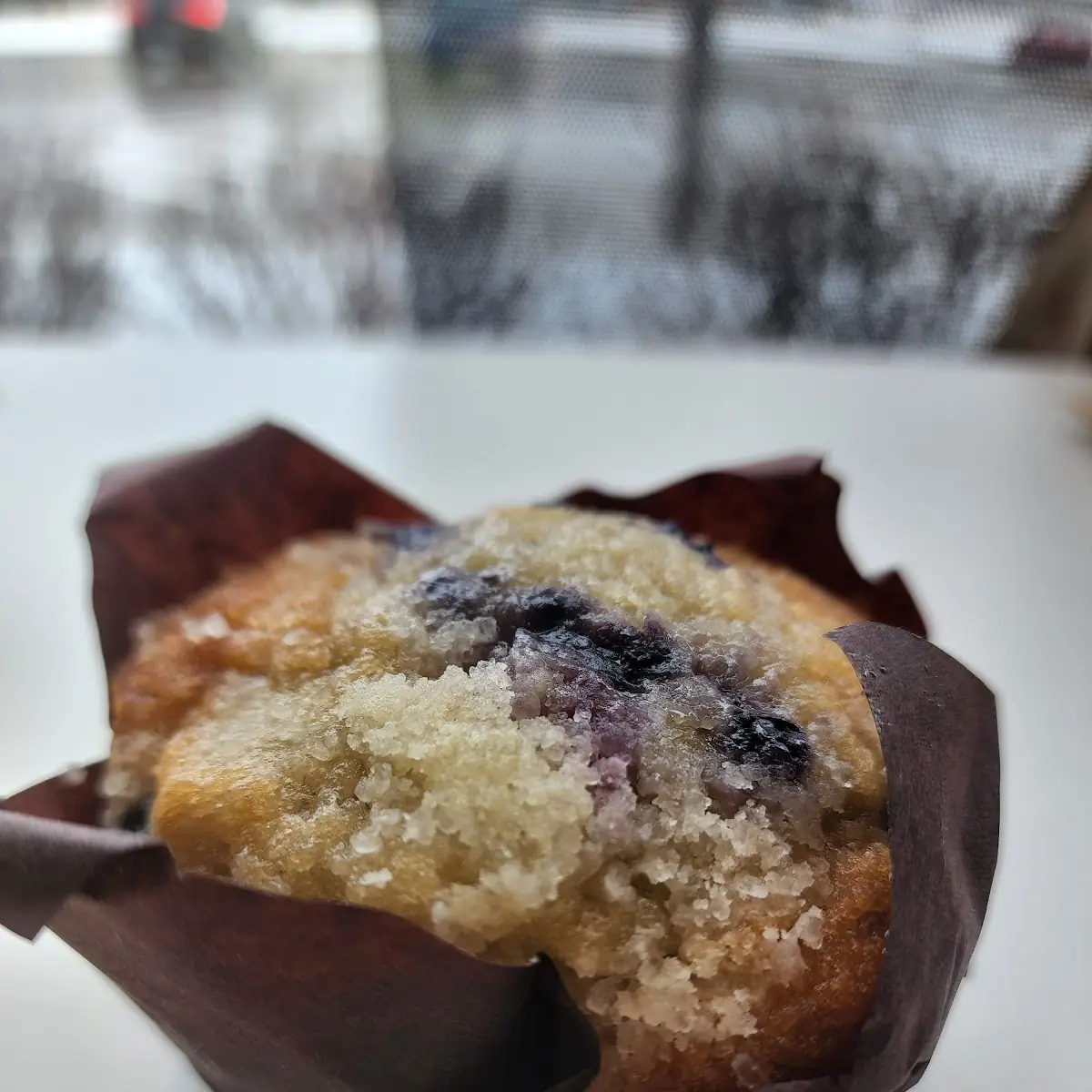 Blueberry Muffin