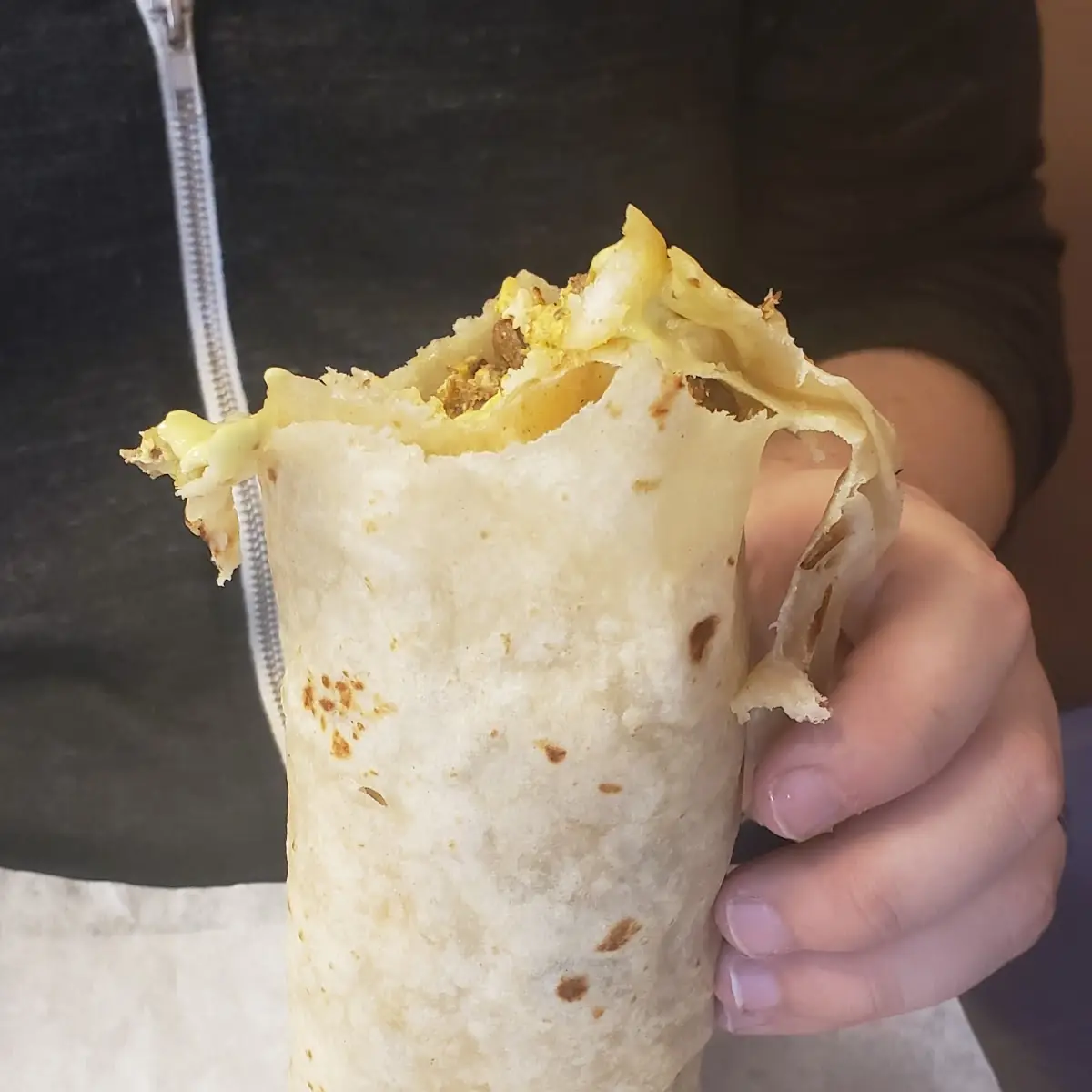 Birria Burrito