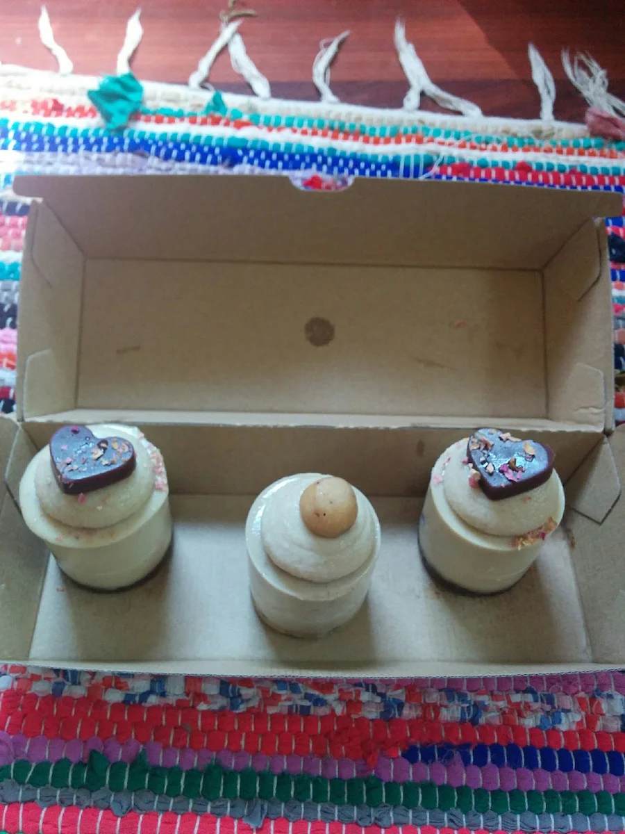 Vegan Cheesecakes, Blendlove