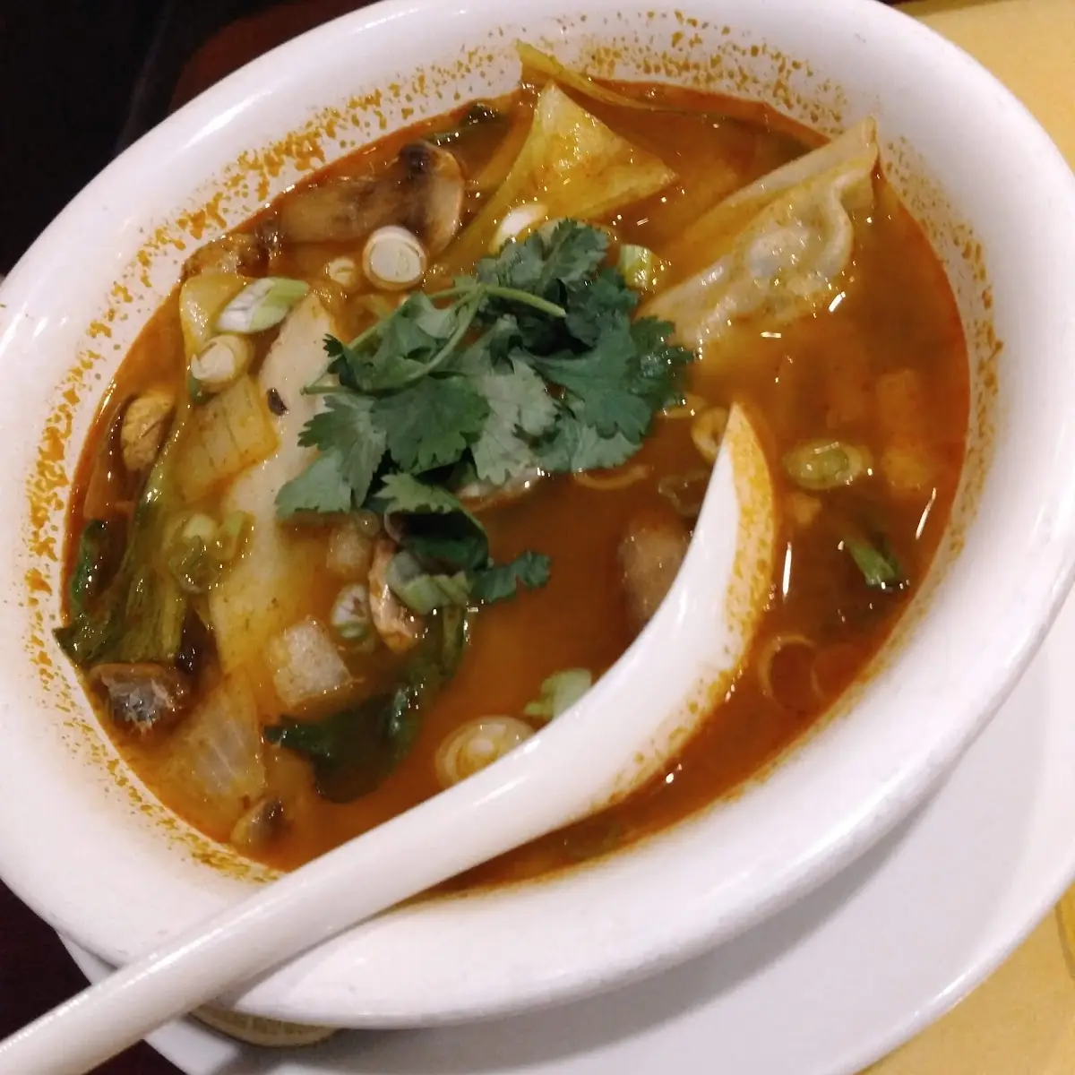 Dumpling Soup
