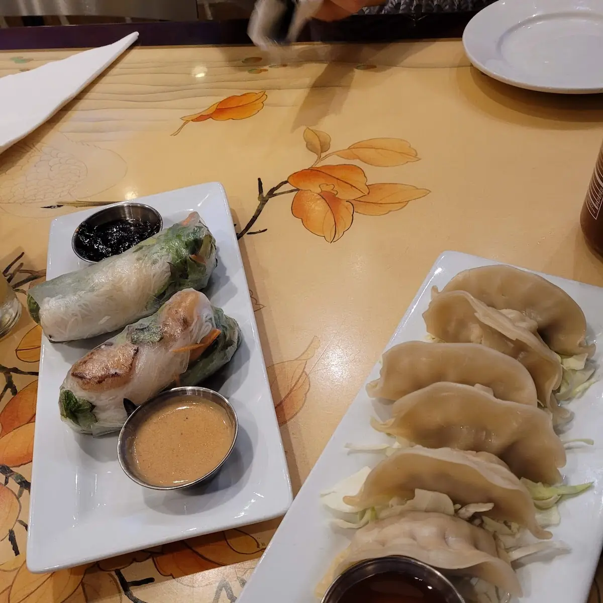 Gyoza and Spring Rolls