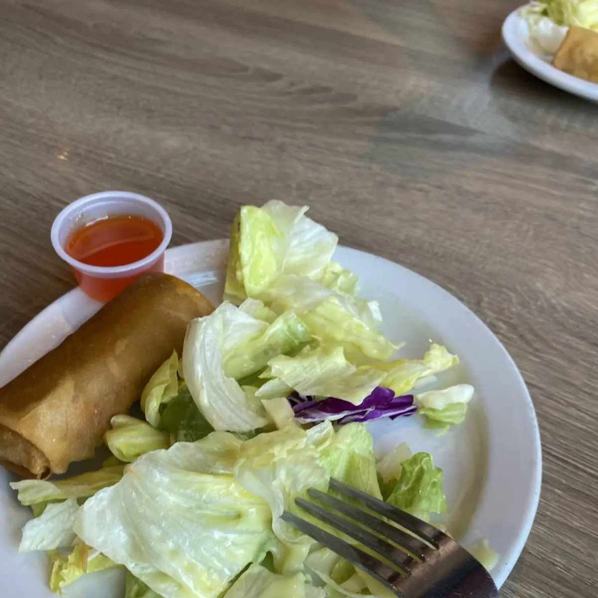 Lunch Special Comes with Salad and Egg Roll