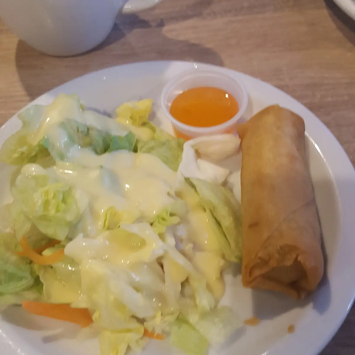 Salad Spring Roll
