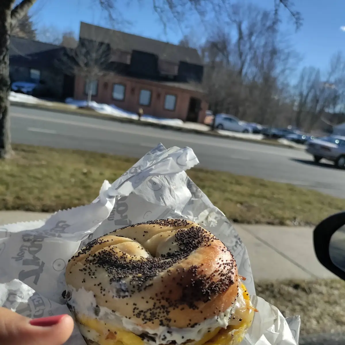 Egg and Cheese Bagels